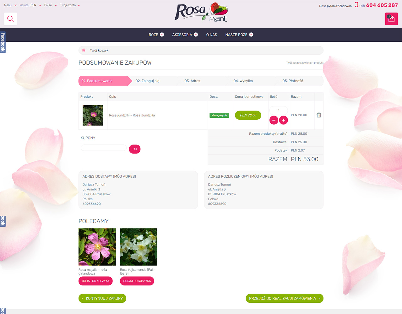 rosaplant  portfolio